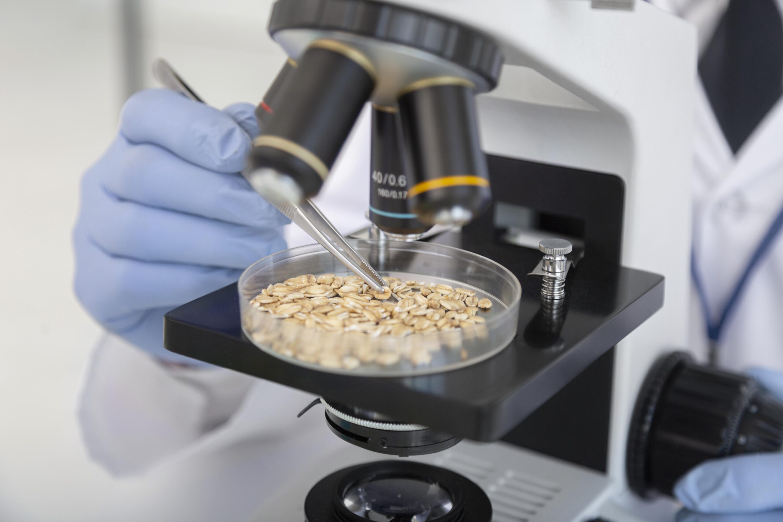 the official rice purity test